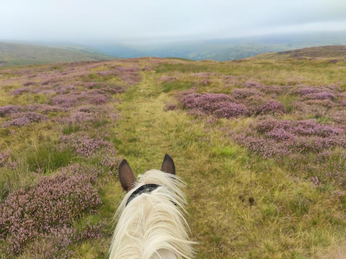 Pentre Riding Stables Hotel Abercraf ภายนอก รูปภาพ
