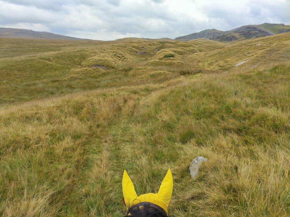 Pentre Riding Stables Hotel Abercraf ภายนอก รูปภาพ