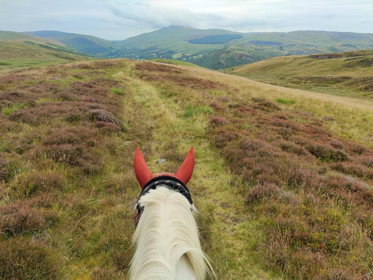 Pentre Riding Stables Hotel Abercraf ภายนอก รูปภาพ